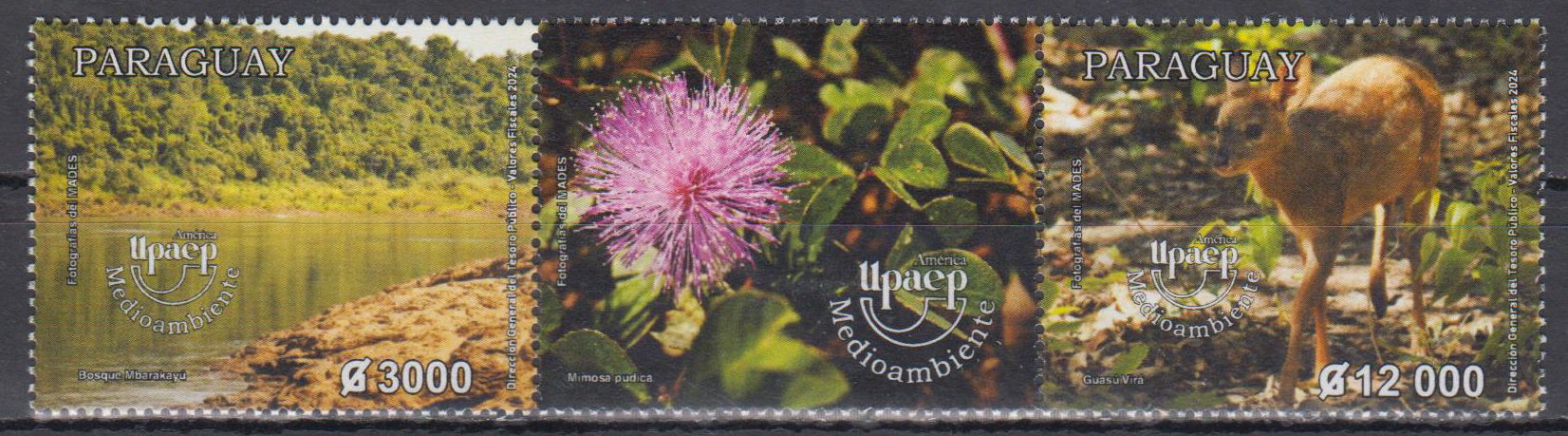 UPAEP 2024, Umwelt, Reh, See