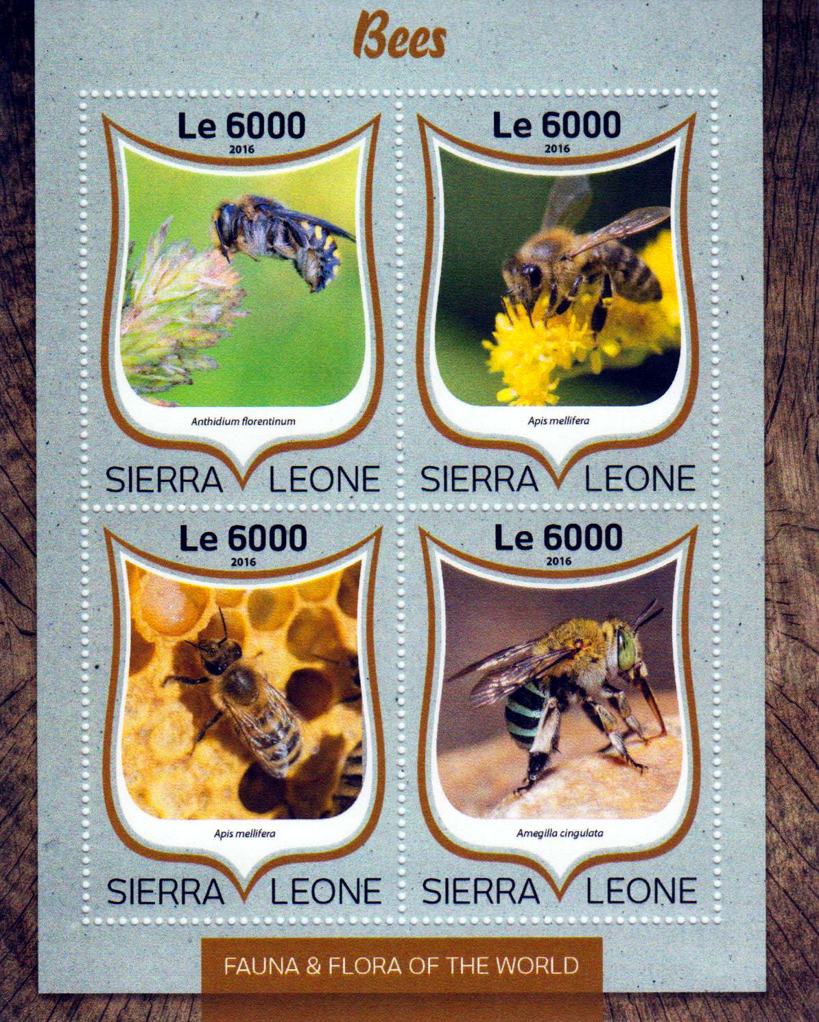 Bienen 2016