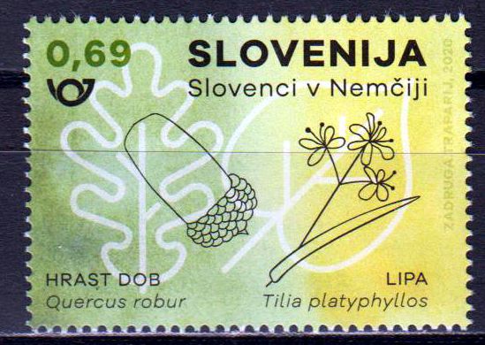 Eichenblatt und Lindenblüte