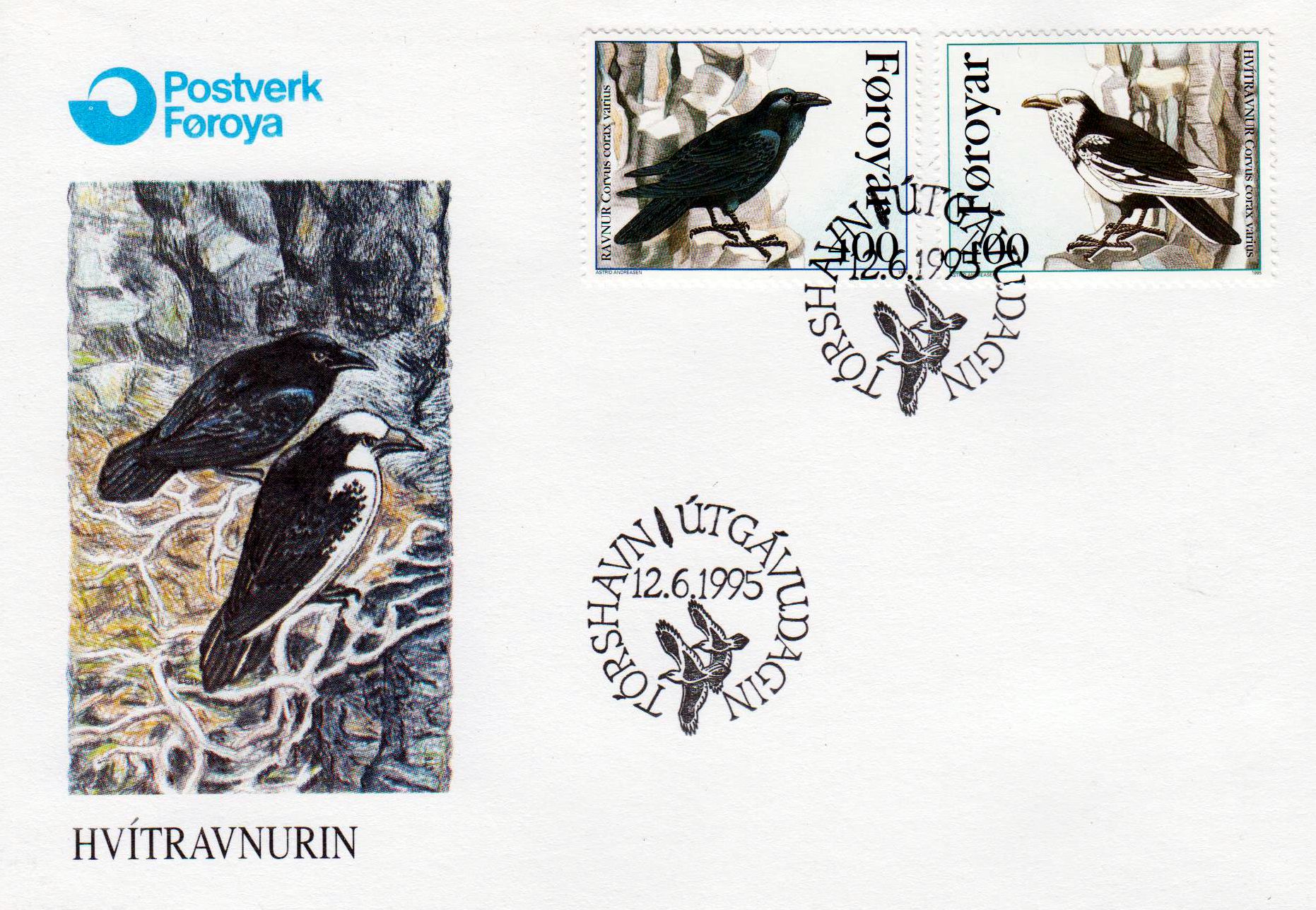 Färöer-Kolkrabe 1995