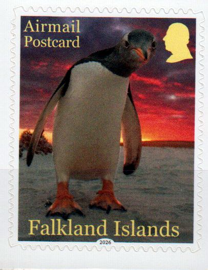 Airmail Postcard Rate 2026, Pinguin, sk, aus MH