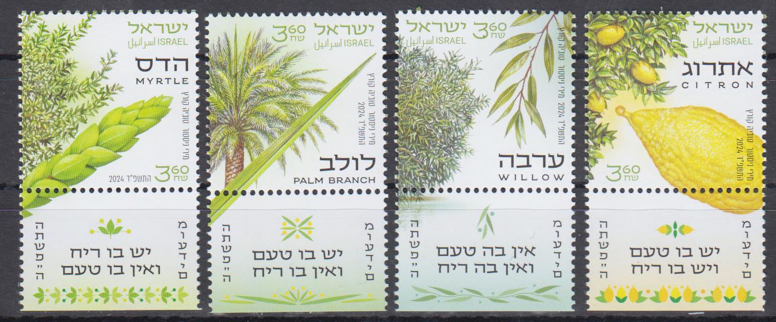 Pflanzen 2024, Myrthe, Zitrone, Palmzweig, Weide