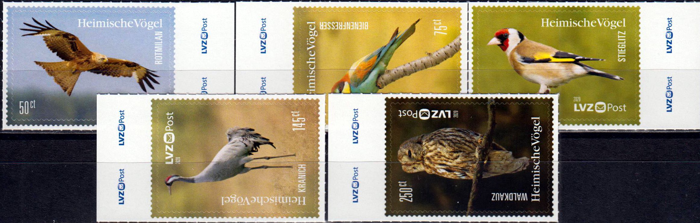 Heimische Vögel 2020