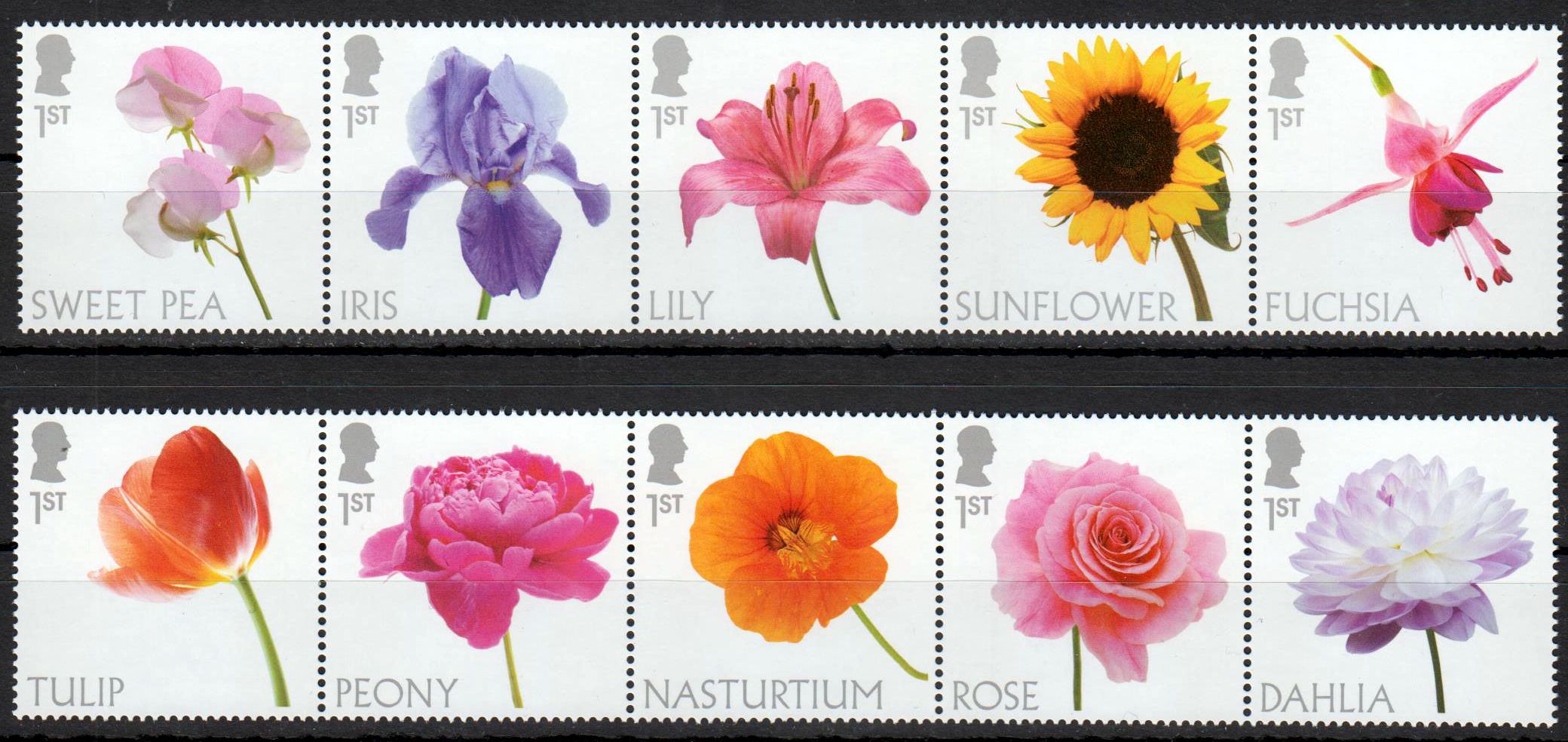Blumen 2023