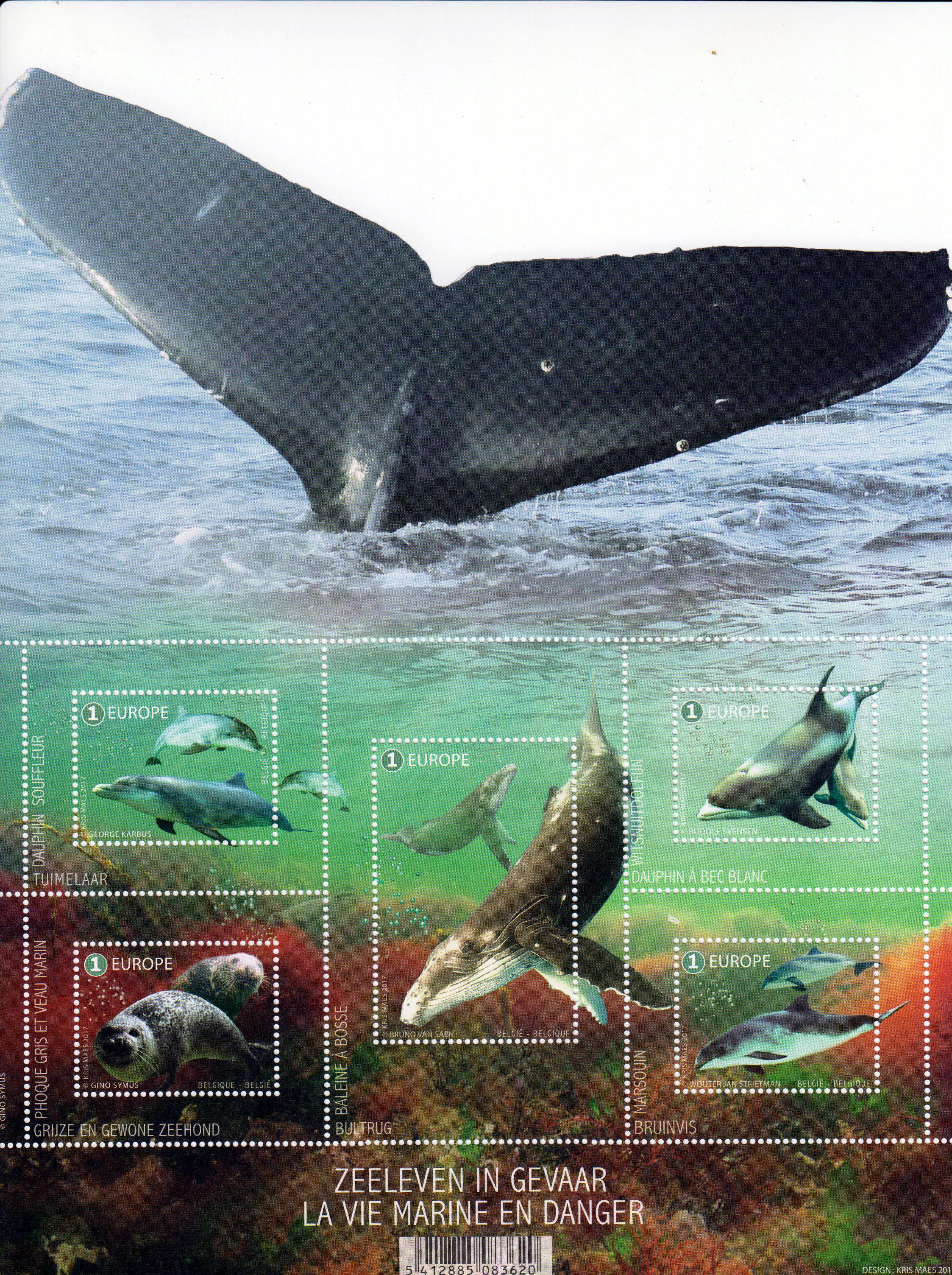 Block: Meeresleben, Wale, Delphin
