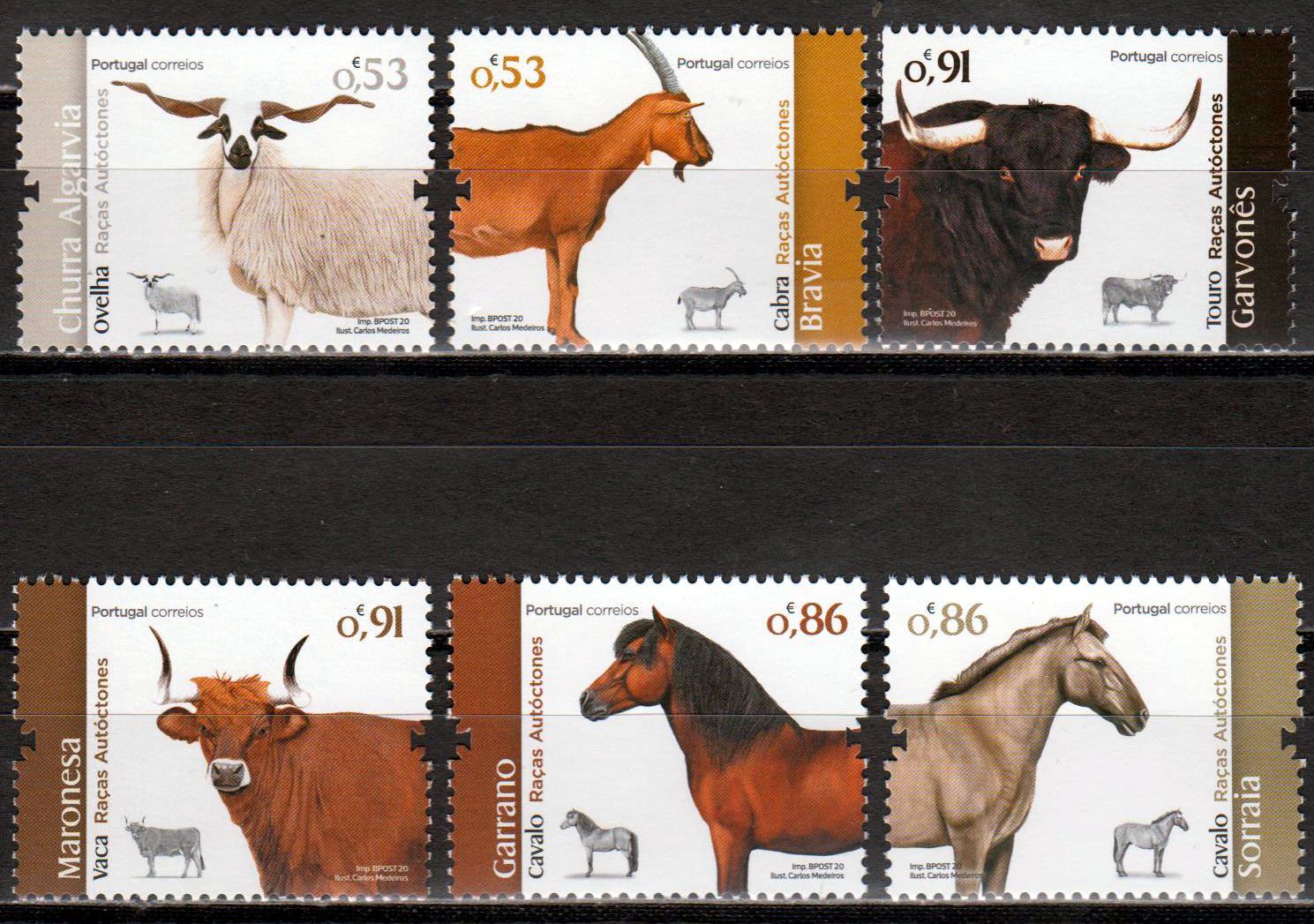 Nutztierrassen III 2020, Pferd, Rind, Ziege