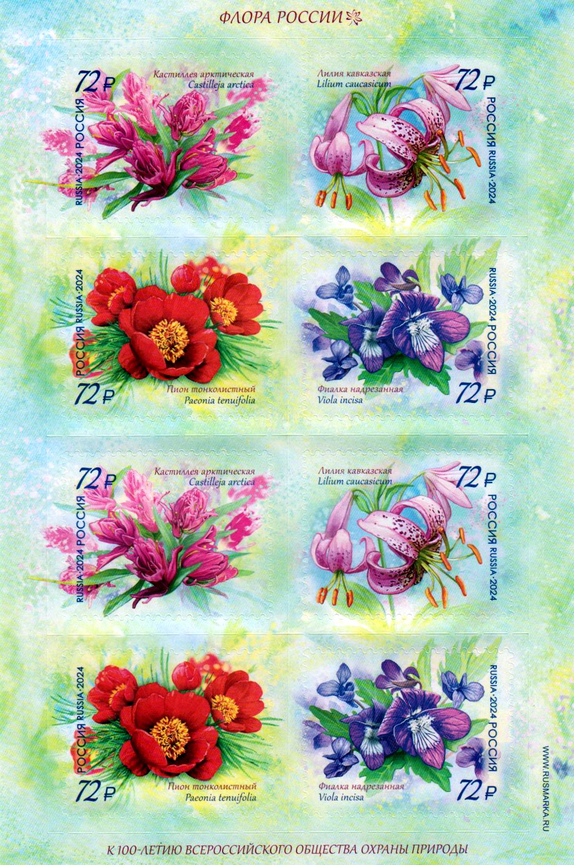 Flora Russlands 2024, sk
