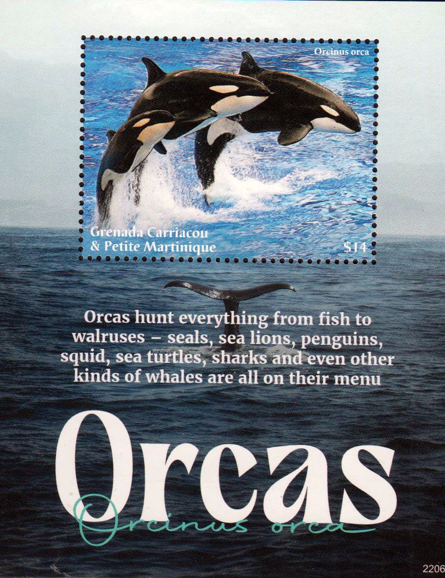 Block: Orcas 2022
