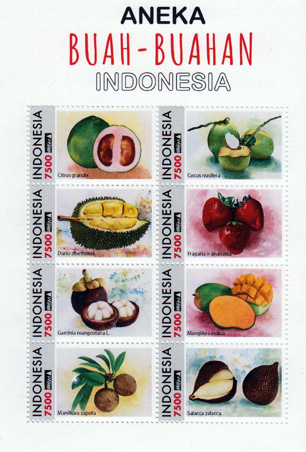 Zdr. ANEKA Buah-Buahan 2023, Früchte