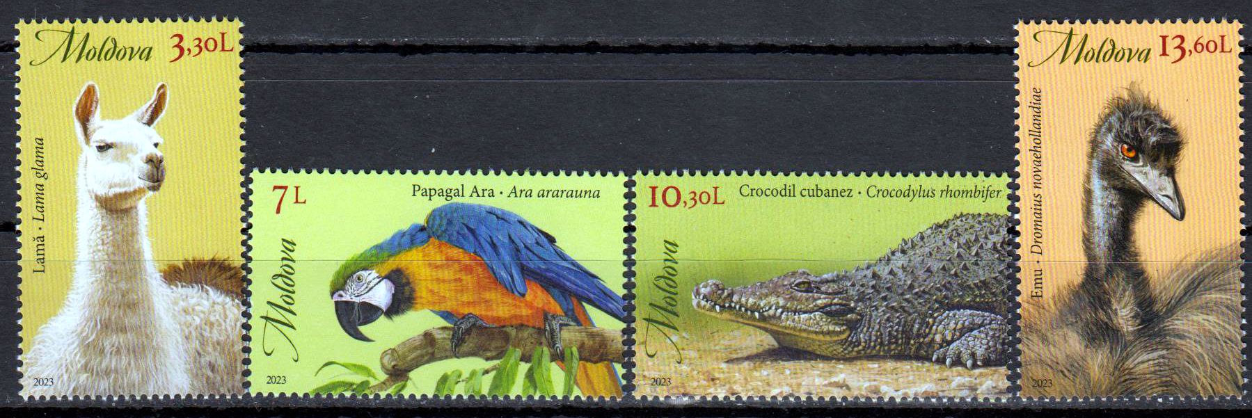 Zoologischer Garten Kishinev 2023,  Lama, Papagei, Krokodil, Emu