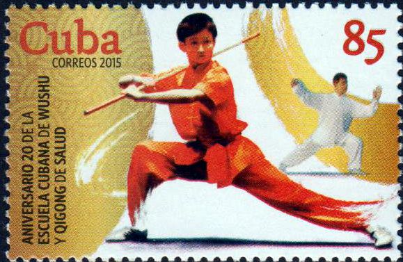 Qigong, Körperkultur und Sport 2015 (P39)