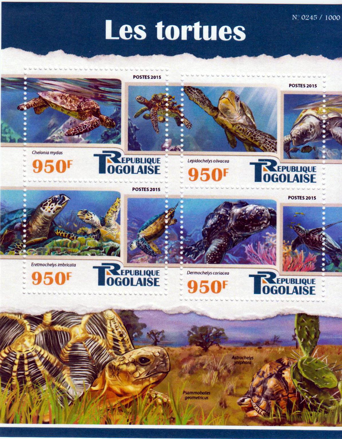 Wasserschildkröten 2015 (PAK)