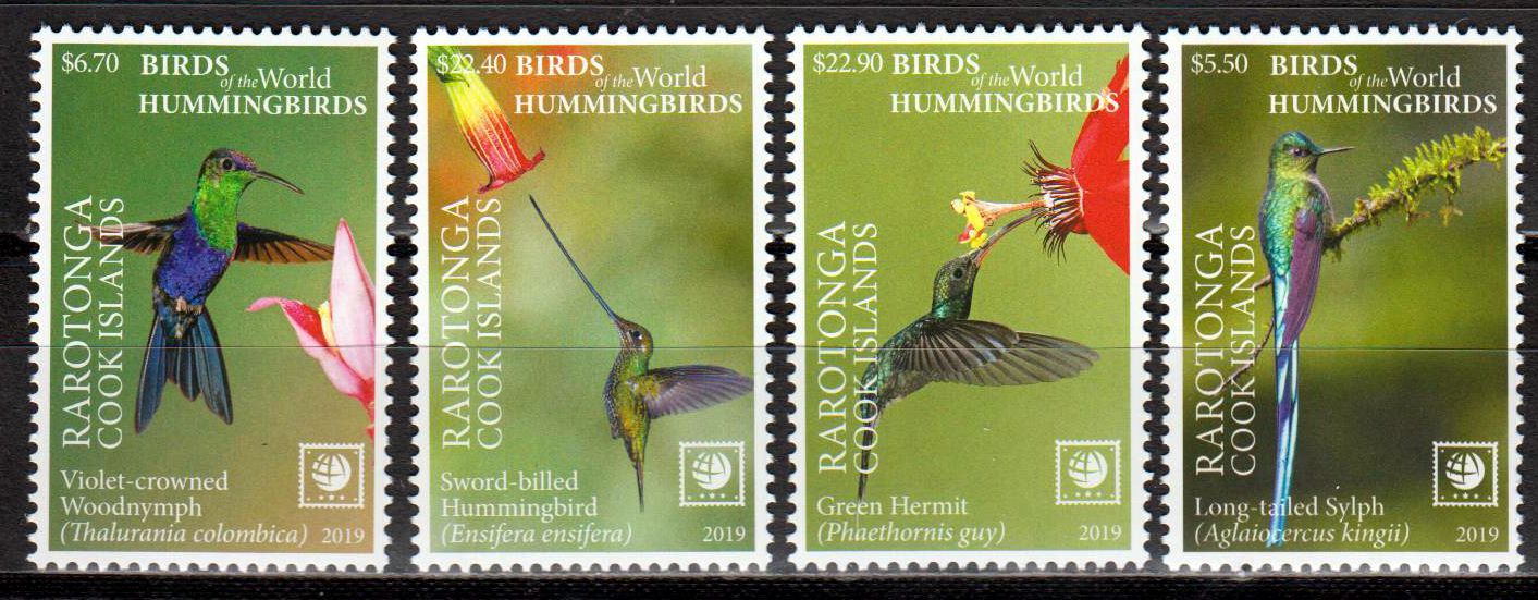 Rarotonga Kolibris 2019