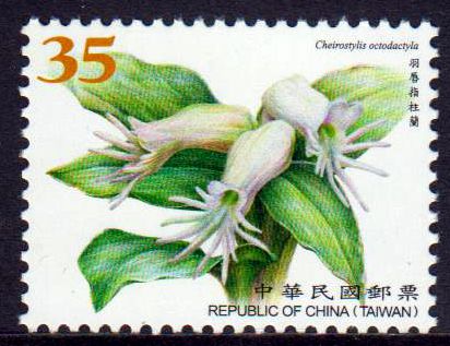 Orchideen, Cheirostylis