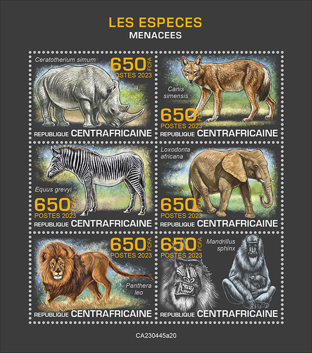 Ausgestorbene Tiere 2023, Nashorn usw.