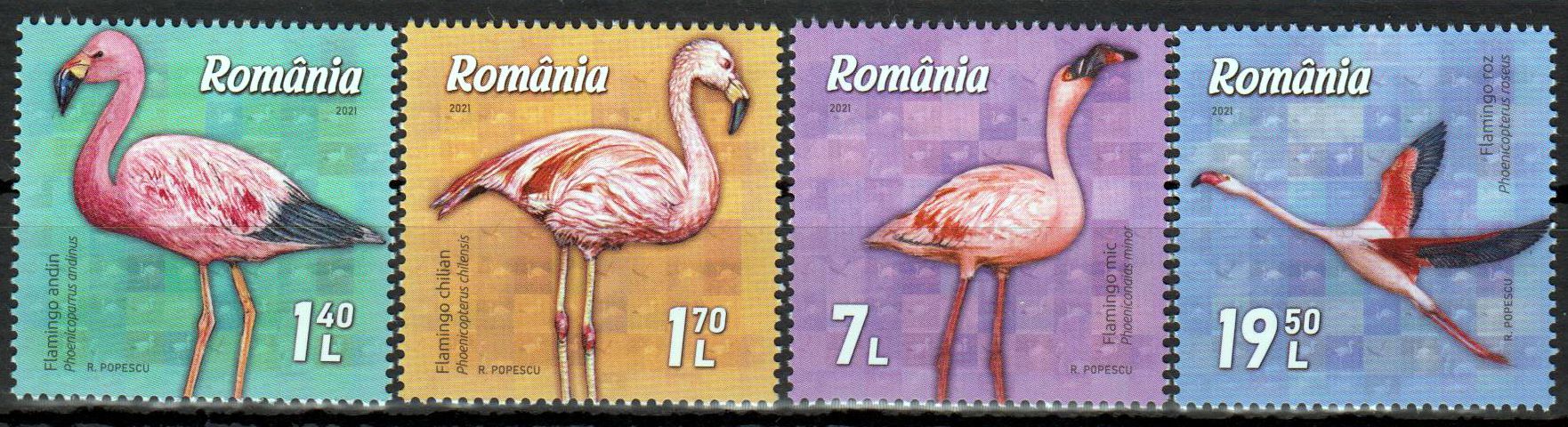 Flamingos 2021