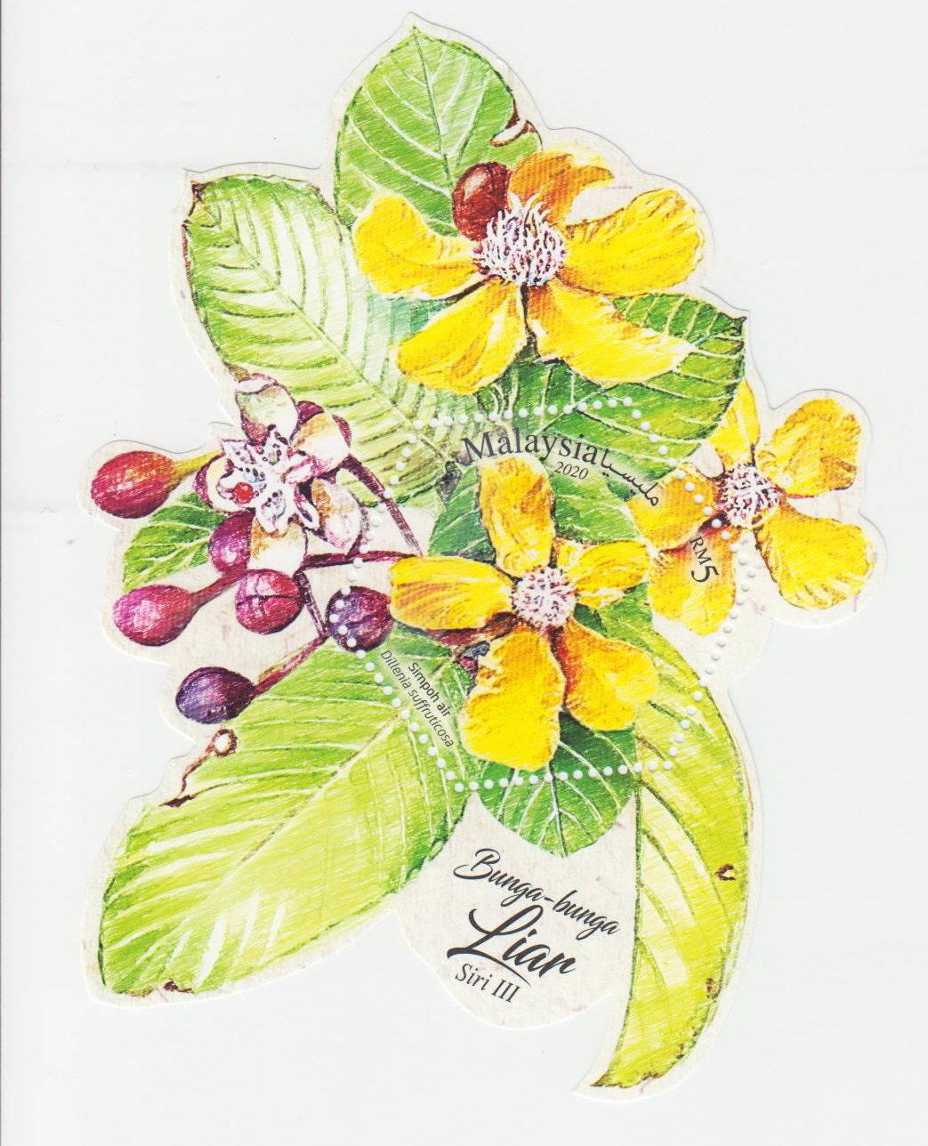 Block: Wildblumen III 2020