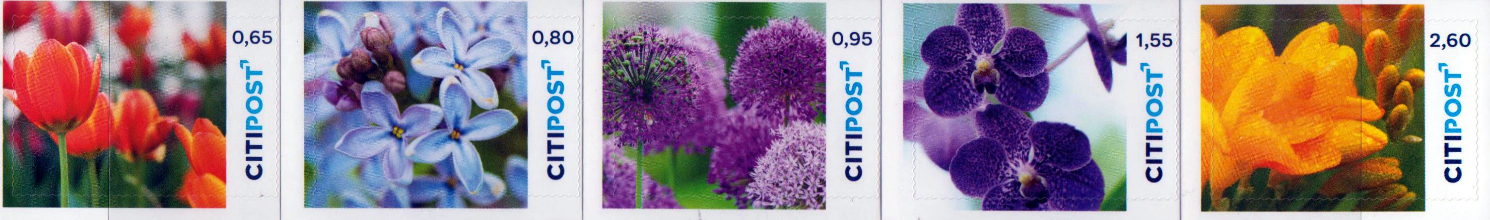 Blumen 2022, Portoänderung