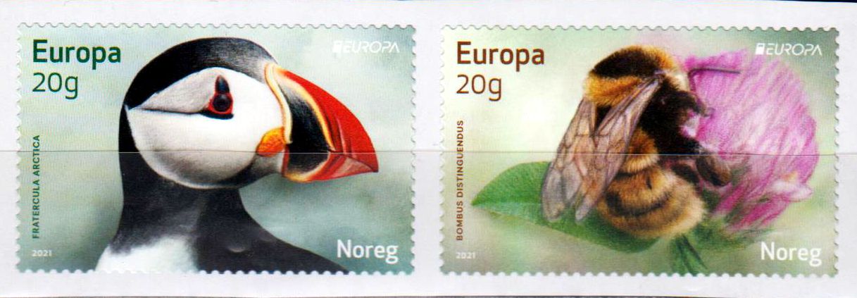 Europa 2021, Biene, Papageitaucher, sk