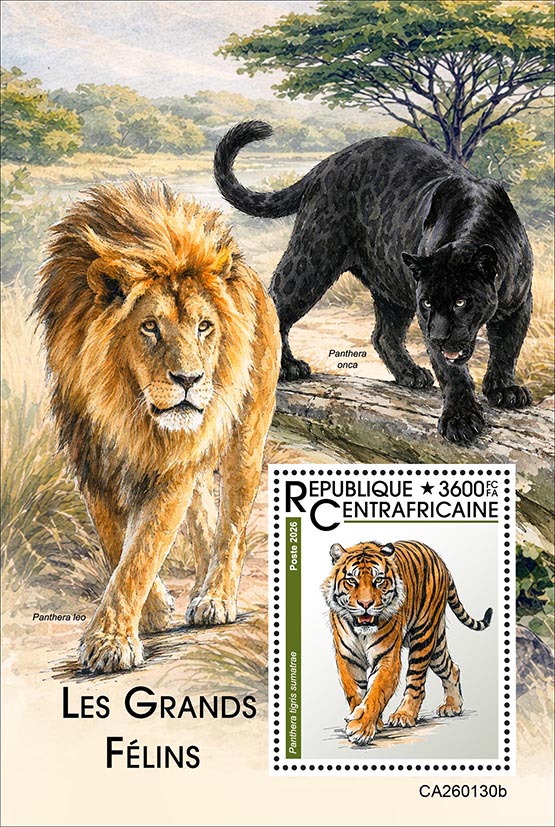 Block: Großkatzen 2026, Tiger