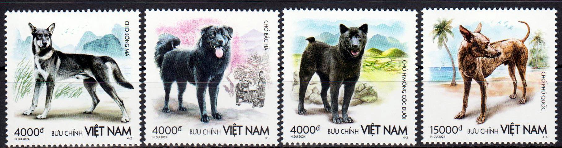 Hunde 2024