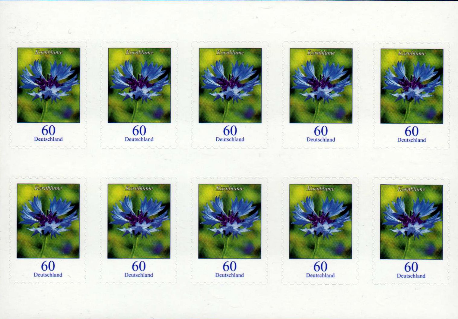 Dauer: Kornblume 2019, sk