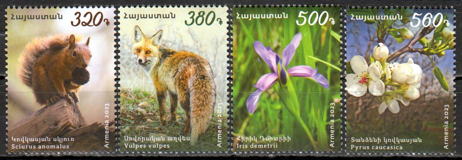 Flora und Fauna 2023, Fuchs, Eichhörnchen, Blumen