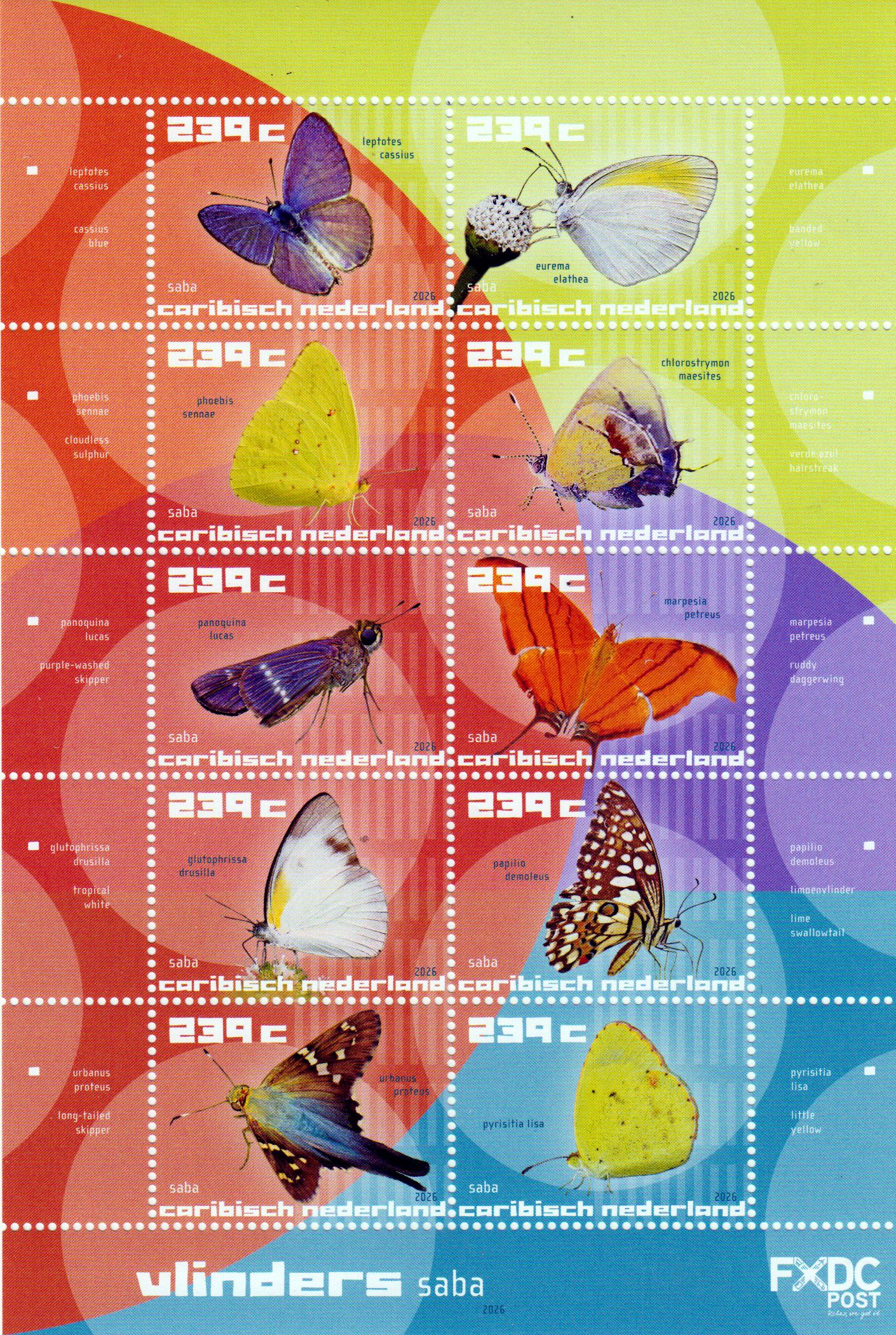 Saba Schmetterlinge 2026