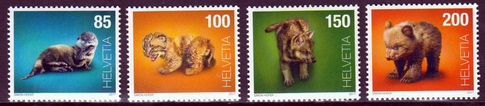 Tierbabys 2017, Bär, Löwe, Otter