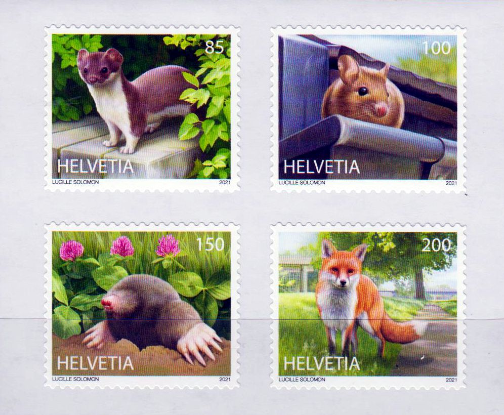 Tiere in der Stadt 2021, Fuchs, Maulwurf, sk