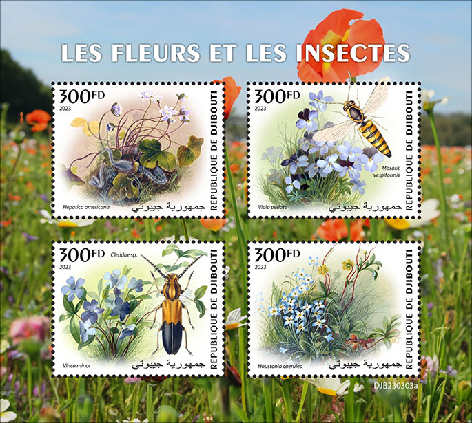 Blumen und Insekten 2023
