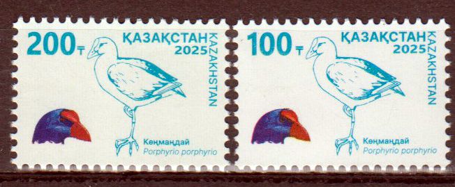 Fauna 2025, Purpurhuhn