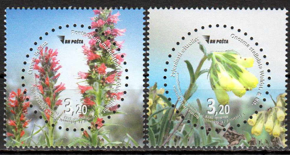 Flora 2023, Blumen