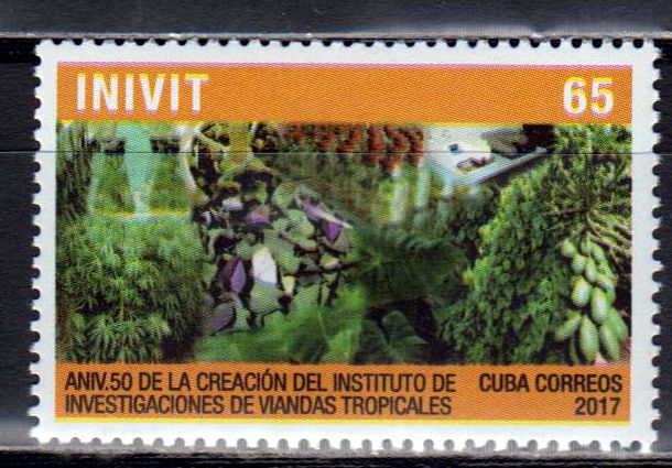 INVIT 2017, Pflanze