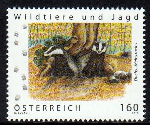 Wildtiere 2016, Dachs