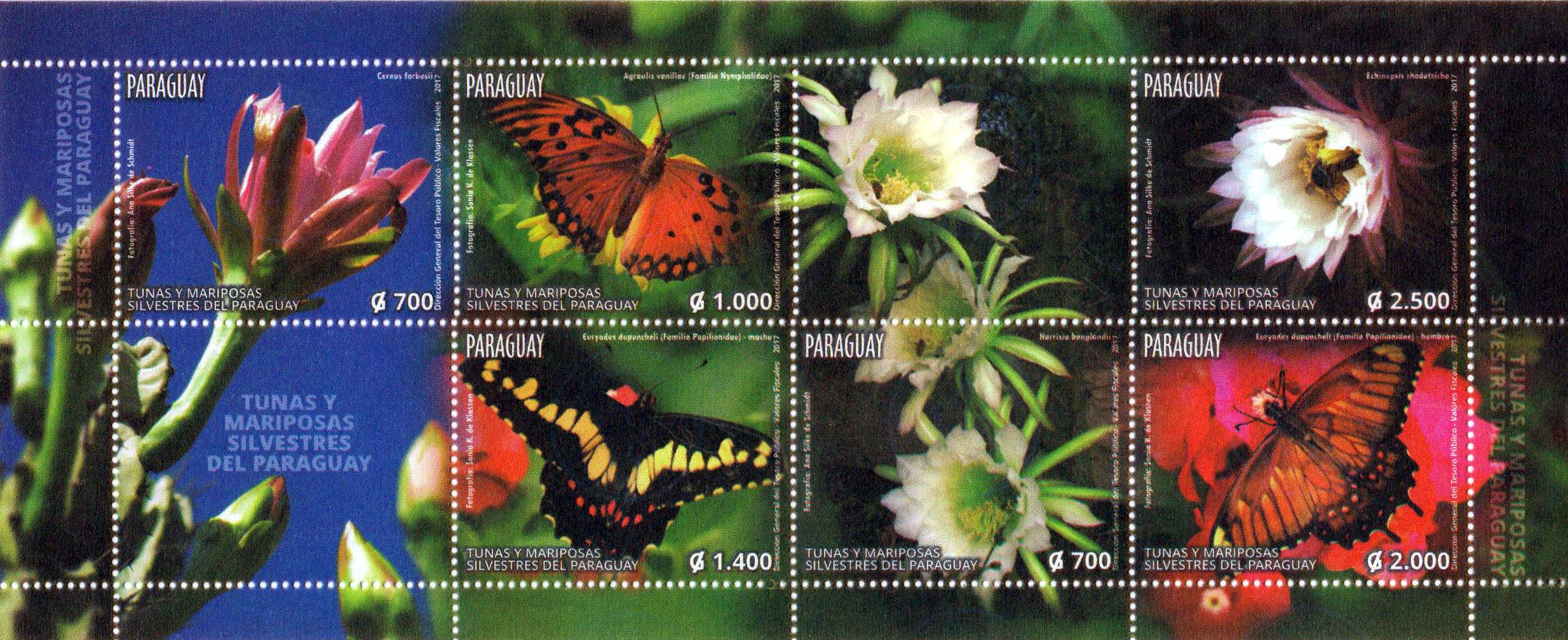 Block: Schmetterlinge und Blumen