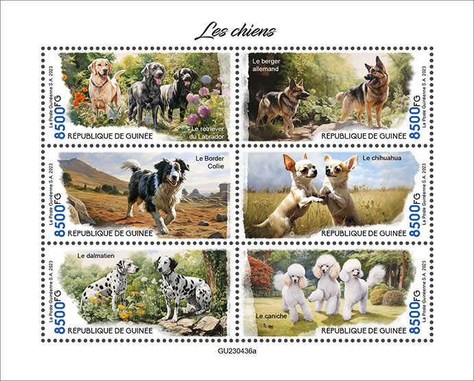 Hunde 2023