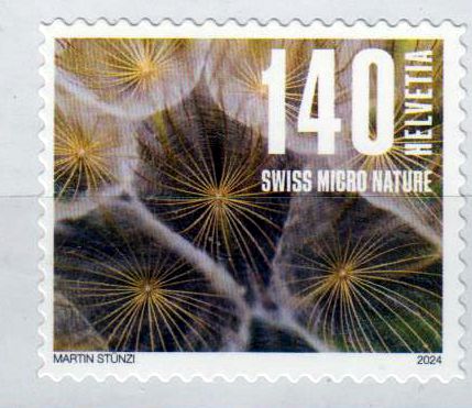 Dauer: Naturmuster 2024, Samenstand, sk