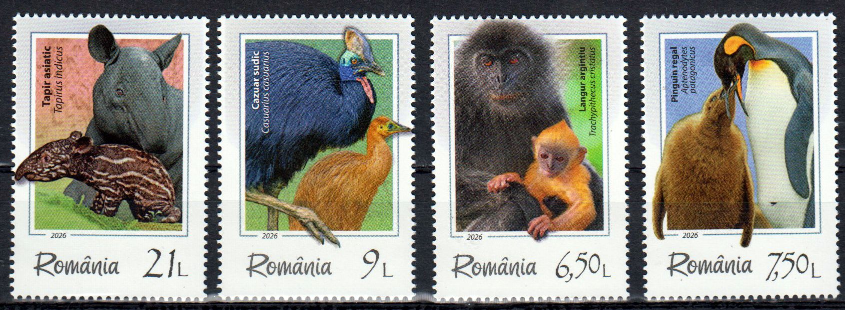 Tierwelt 2026, Kasuare, Pinguine, Goldlangur,  Schabrackentapir