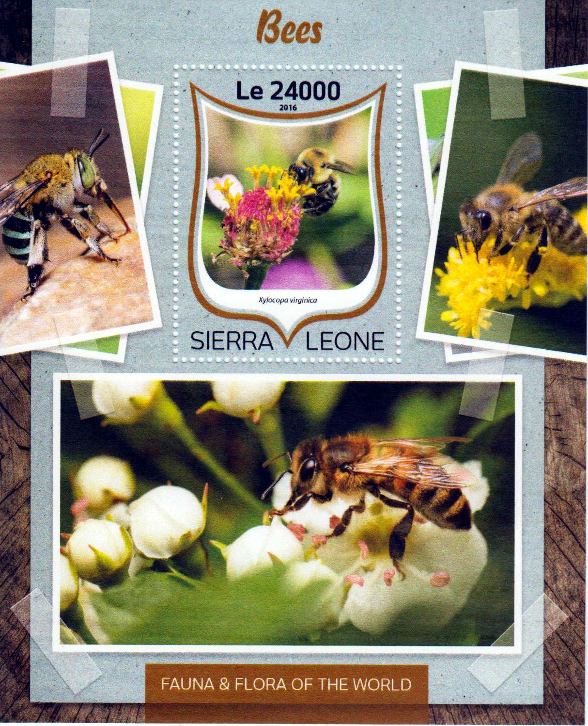 Block: Bienen 2016