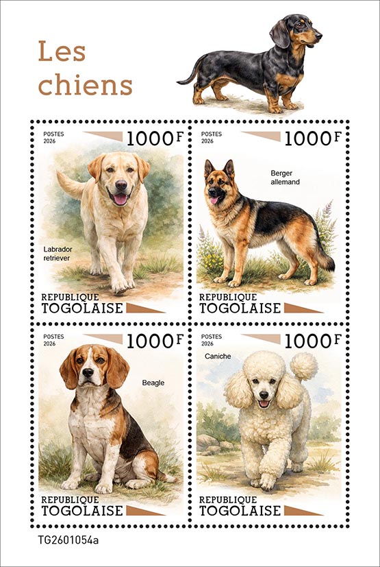 Hunde 2026