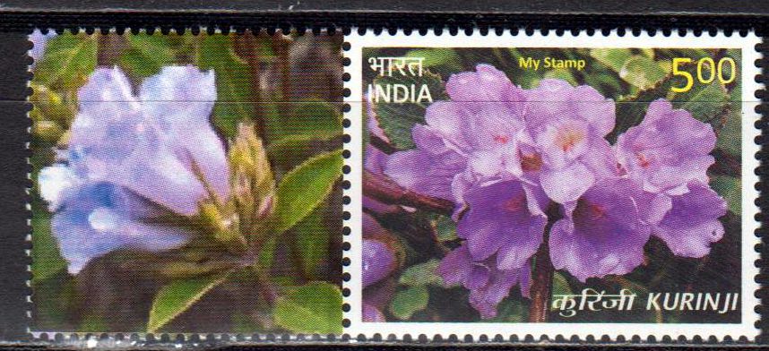 My Stamp Kurinji-Kerala, Blumen