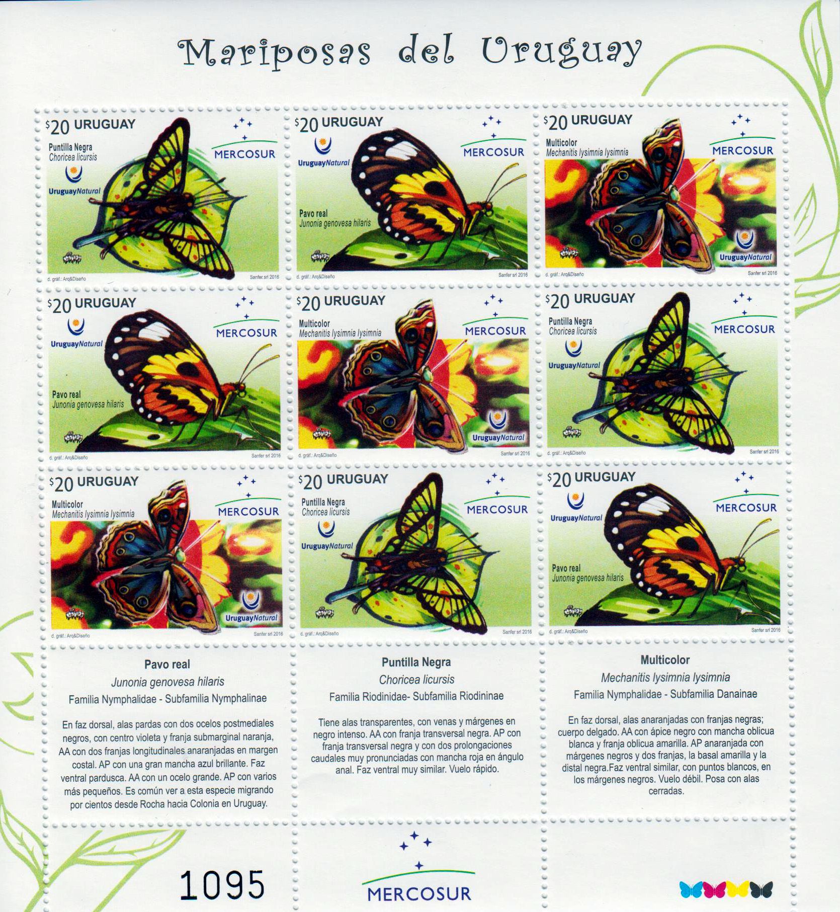 Schmetterlinge 2016, Mercosur