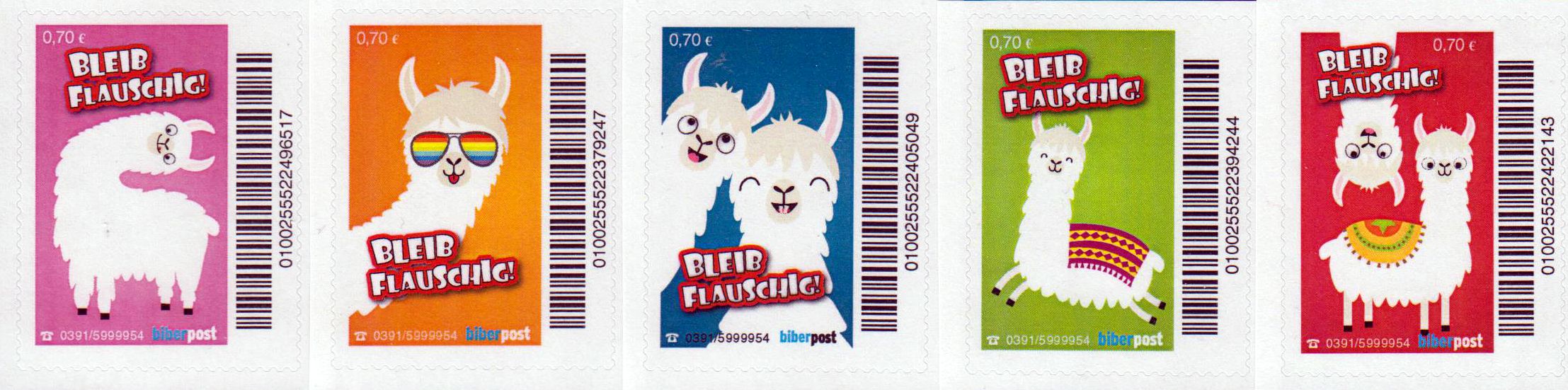 Bleib Flauschig! 2019, Alpakas, aus Bogen