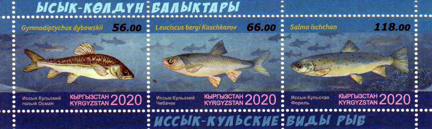 Block: Fische 2020