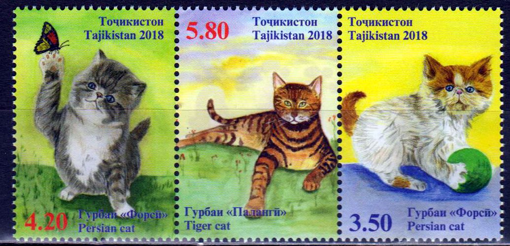 Katzen 2018, Persian Cat