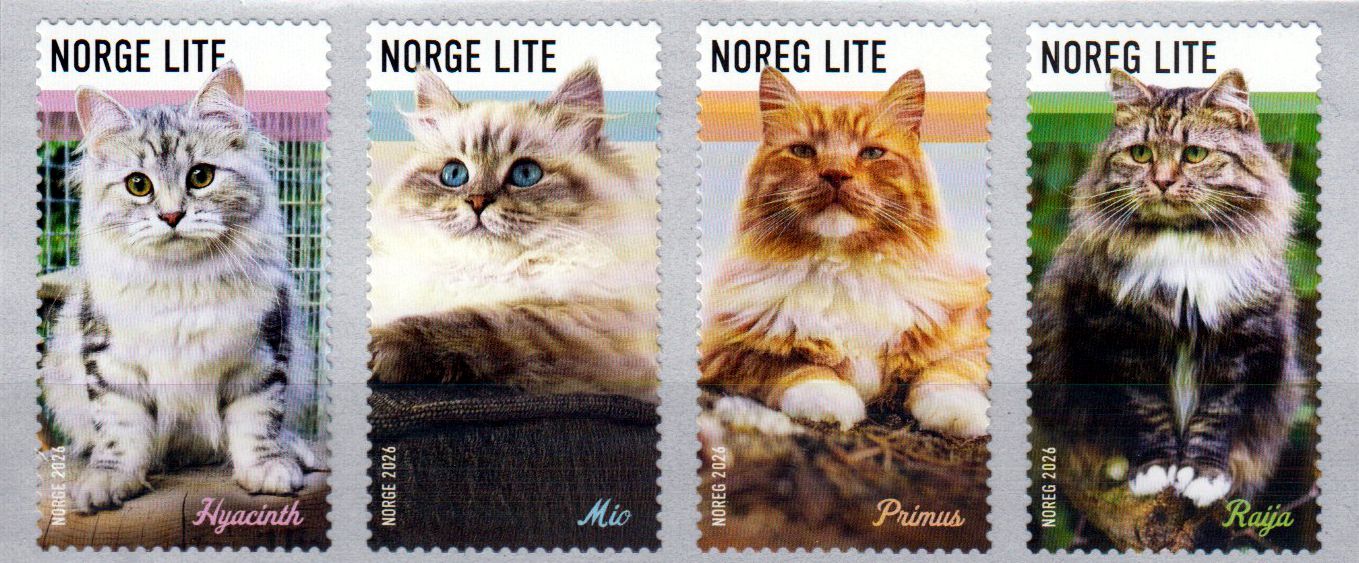 Katzen 2026, sk