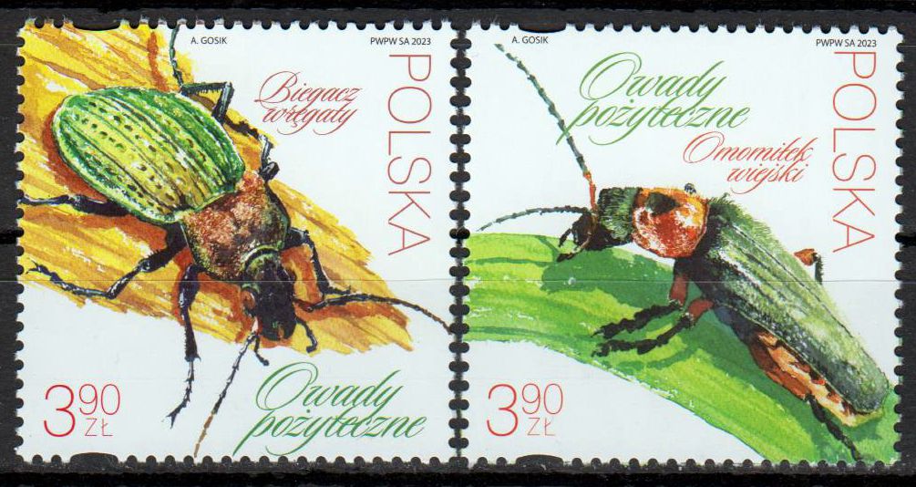 Nützliche Insekten 2023, Käfer