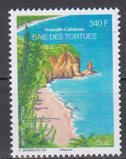La Baie des Tortues 2024