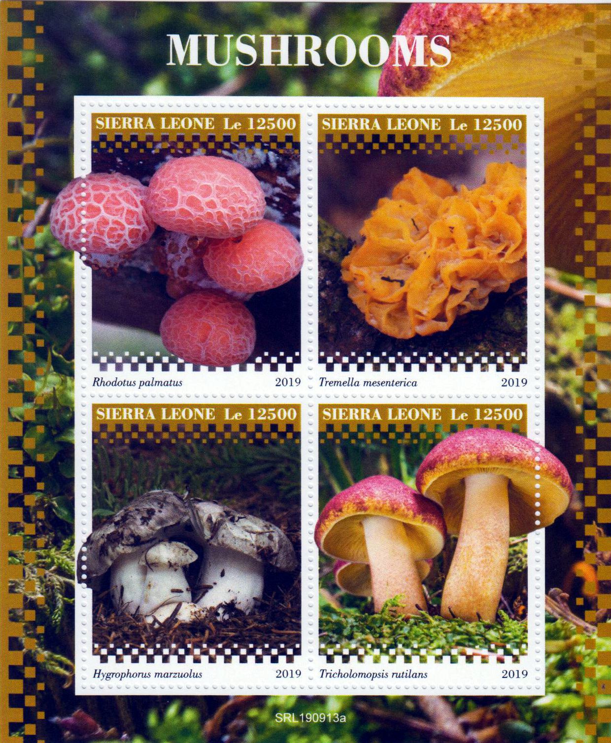Pilze 2019, Gelber Zitterling
